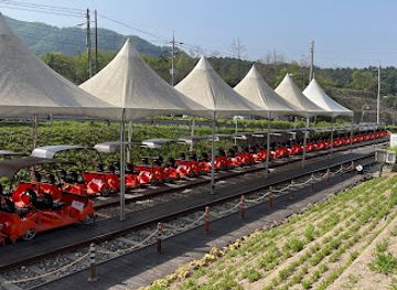 south-korea/gangwon-province/landmark/gangchon-rail-park