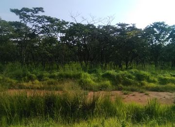 tanzania/tarangire-national-park/landmark/ugalla-river-game-reserve