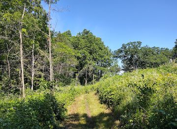 wisconsin/ice-age-trail/landmark/ice-age-trail-springfield-hill