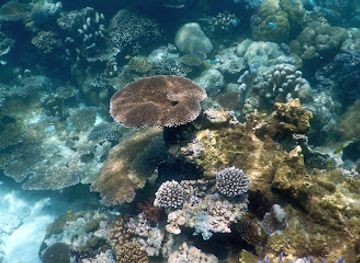 palau/ngeruangel-reef/landmark/german-channel
