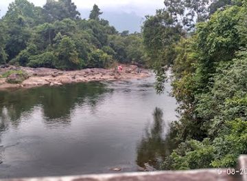 india/malabar-coast/landmark/nedumkayam-rain-forest