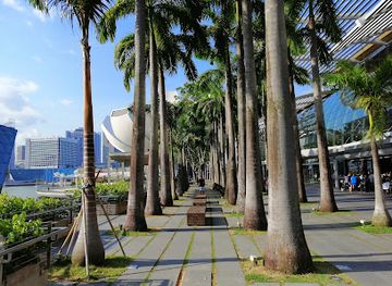 singapore/geylang/landmark/spectra-a-light-water-show