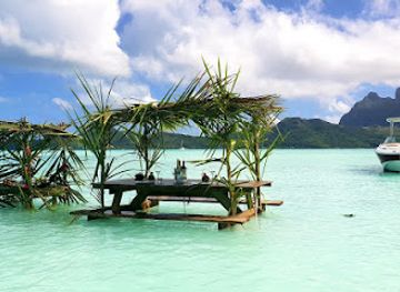 french-polynesia/bora-bora/landmark/reef-discovery-bora-bora