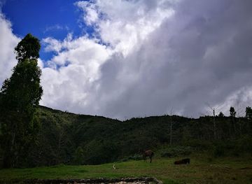 haiti/grand-anse/landmark/pic-macaya-national-park