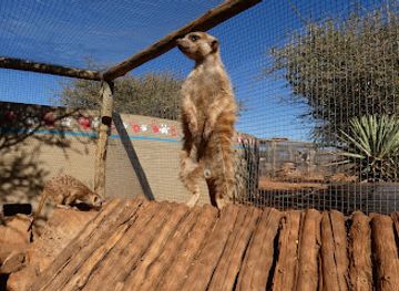 namibia/kuneneland/landmark/n-a-an-ku-se-wildlife-sanctuary