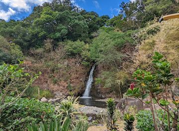 costa-rica/los-santos-region/landmark/bar-y-restaurant-la-catarata