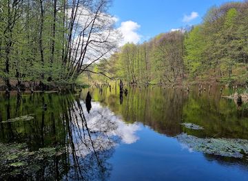 hungary/bakony/landmark/hubertlaki-to-gyilkos-to