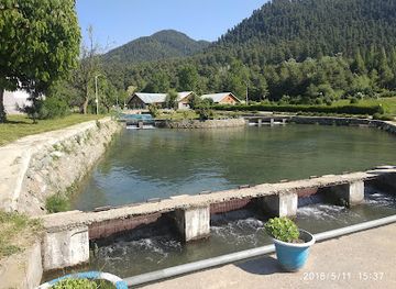 india/kashmir-great-lakes/landmark/botanical-garden-kokernag