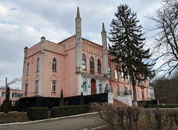 ukraine/tysovets/landmark/castle-vitoslavskyh-dembowski