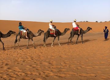 morocco/saharan-morocco/landmark/arbol-de-la-ciencia