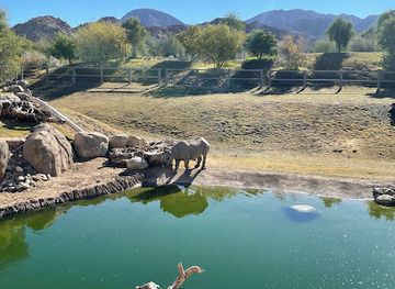california/colorado-desert/landmark/the-living-desert-zoo-and-gardens