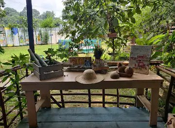 Eco Ponies Garden