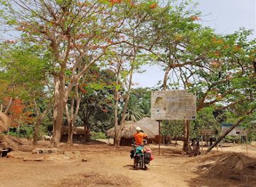 guinea-bissau/cantanhez-forest-national-park/landmark/national-park-cantanhez-forests