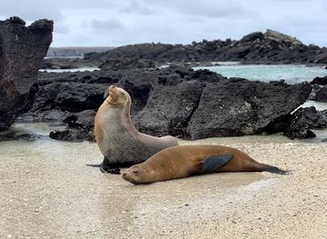 ecuador/galapagos-islands/landmark/genovesa-island