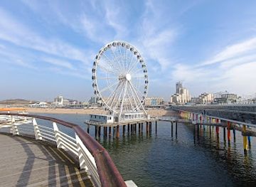 netherlands/the-hague/scheveningen/landmark/de-pier