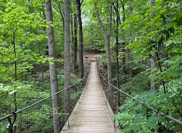 tennessee/highland-rim/landmark/tims-ford-state-park