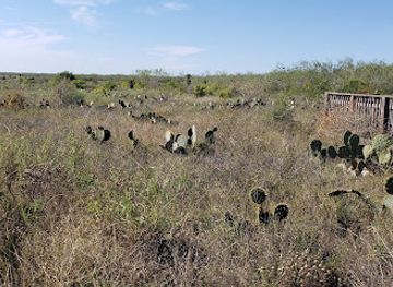 texas/rio-grande-valley/landmark/palmito-ranch-battlefield-state-historic-site