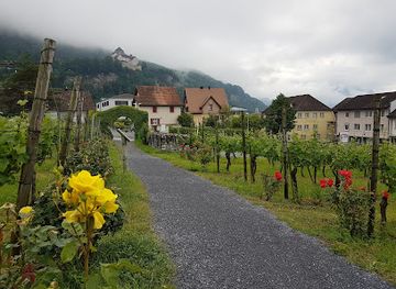 liechtenstein/schaan/landmark/cellars-of-the-prince-of-liechtenstein