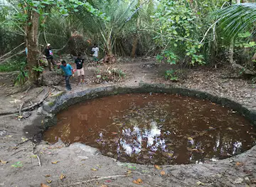 Vevu