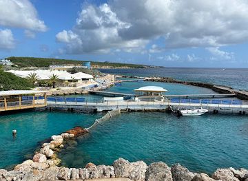 curacao/playa-porto-mari/landmark/seaquarium-beach