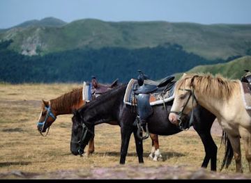 montenegro/mount-bjelasica/landmark/jahanje-bjelasica