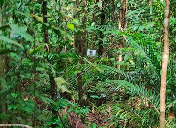 singapore/macritchie-reservoir/landmark/sime-track
