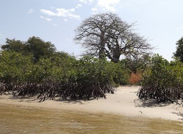 senegal/matam/landmark/saloum-delta-national-park