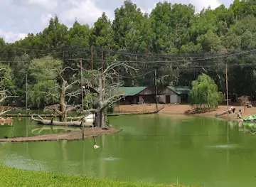 Shekvetili Dendrological Park