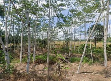 indonesia/south-kalimantan/landmark/tempat-bersantai-di-alam