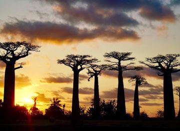 madagascar/analamanga/landmark/mirindra-adventures