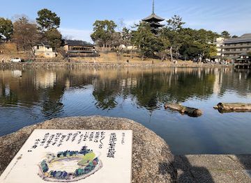 japan/nara/landmark/sarusawa-ike-monument