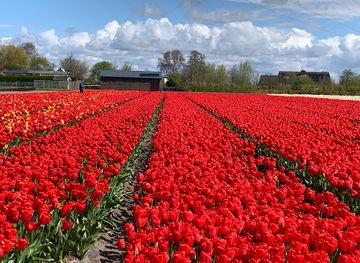 netherlands/bollenstreek/landmark/de-bollenburcht