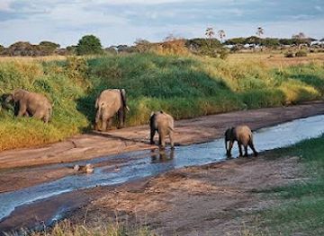 kenya/tsavo-national-park/landmark/mwea-national-reserve