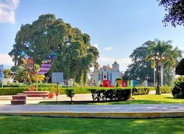 mexico/oaxaca/landmark/santa-maria-del-tule