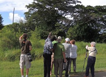 trinidad-and-tobago/tobago/landmark/glad-tours-and-adventures