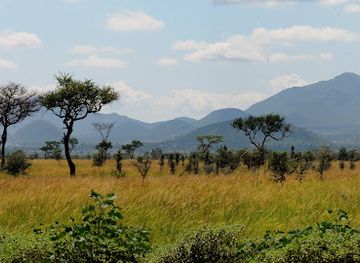 kenya/eastern-region/landmark/ruma-national-park