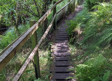 united-kingdom/orkney/landmark/olav-s-wood