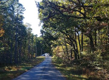 illinois/southern-illinois/landmark/shawnee-national-forest