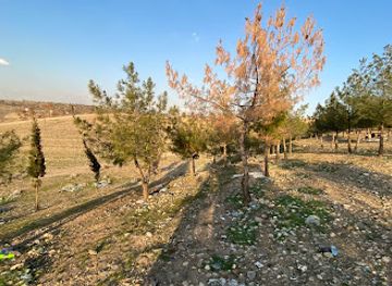 iraq/qadisiyyah/landmark/anfal-monument
