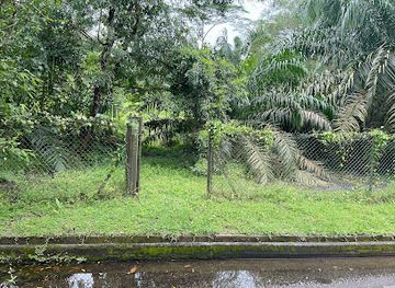 singapore/macritchie-reservoir/landmark/goldhill-avenue-cul-de-sac