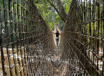 gabon/pikounda-gorilla-camp/landmark/liana-bridge-of-poubara