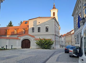 hungary/veszprem/landmark/dubniczay-palota