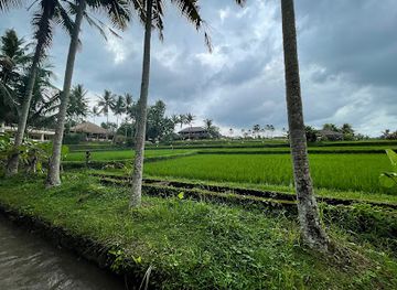 indonesia/ubud/landmark/rice-fields-walk