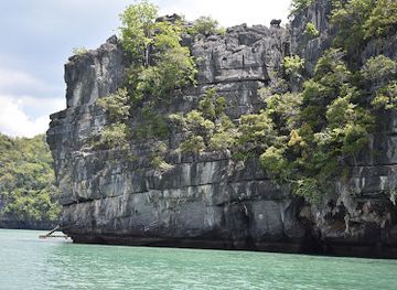 malaysia/langkawi-archipelago/landmark/tanjung-rhu-mangrove-tour