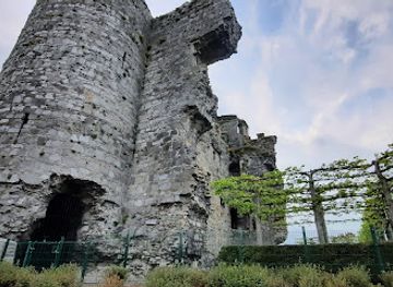 ireland/county-carlow/landmark/carlow-castle