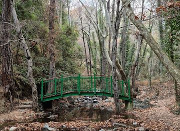cyprus/troodos-national-forest-park/landmark/millomeris-waterfall-trail