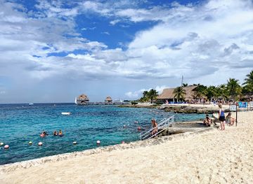 mexico/cozumel/puerto-aventuras/landmark/dolphin-discovery-cozumel