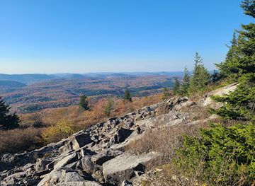 west-virginia/mountaineer-country/landmark/almost-heaven-swing