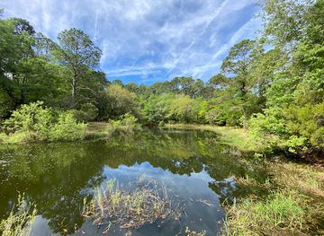 south-carolina/hilton-head-island/landmark/audubon-newhall-preserve