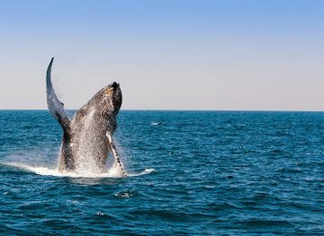 australia/fraser-coast/landmark/tasman-venture